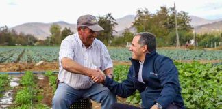 Subsecretario de Agricultura releva en provincia de Melipilla soluciones productivas y de gestión hídrica para el agro