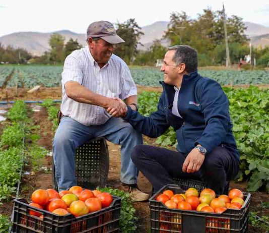 Subsecretario de Agricultura releva en provincia de Melipilla soluciones productivas y de gestión hídrica para el agro