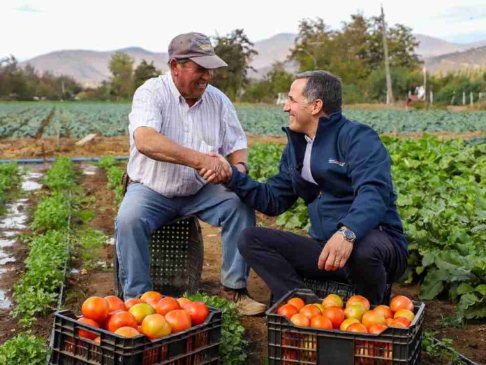 Subsecretario de Agricultura releva en provincia de Melipilla soluciones productivas y de gestión hídrica para el agro