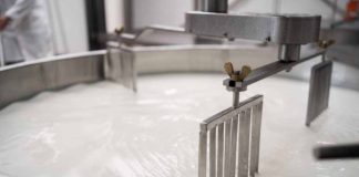 Comercio de productos lácteos australiano | Tailandia abre sus puertas al mercado lácteo de Nueva Zelanda y Australia Comercio de productos lácteos australiano | Tailandia abre sus puertas al mercado lácteo de Nueva Zelanda y Australia