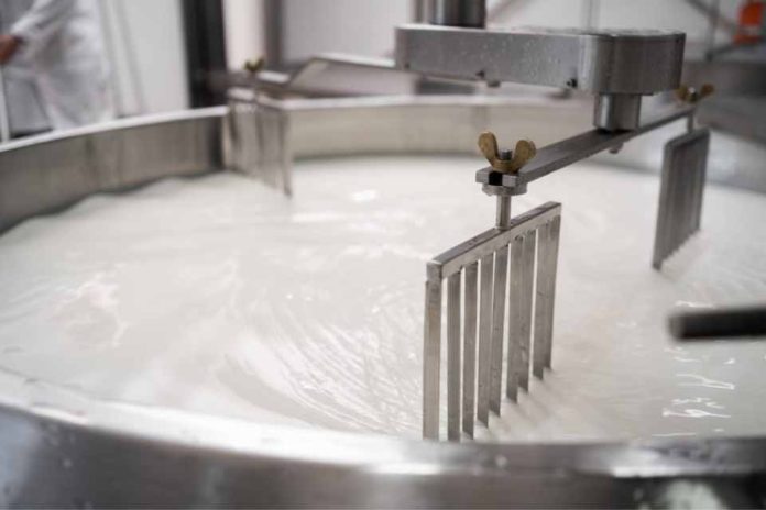 Comercio de productos lácteos australiano | Tailandia abre sus puertas al mercado lácteo de Nueva Zelanda y Australia Comercio de productos lácteos australiano | Tailandia abre sus puertas al mercado lácteo de Nueva Zelanda y Australia