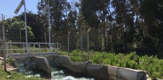 Atención agricultores de Atacama y Coquimbo: Comisión Nacional de Riego promueve la seguridad hídrica a través de concurso nacional de innovación 
