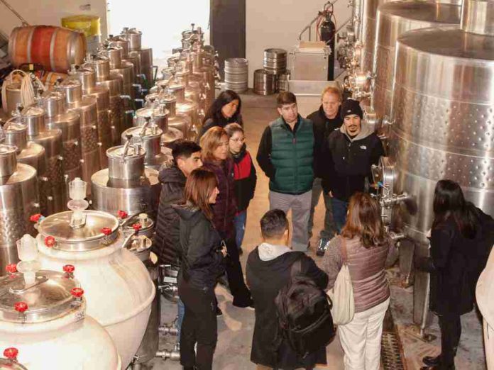 Transformación del vino en Chile impulsa formación con foco en territorio, cultura e innovación Transformación del vino en Chile impulsa formación con foco en territorio, cultura e innovación