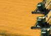 Uruguay captura el 63% de la cuota anual de arroz del Mercosur hacia la Unión Europea Uruguay captura el 63% de la cuota anual de arroz del Mercosur hacia la Unión Europea