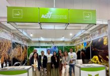Viveros de Chile fortalece su presencia en Brasil tras participación en Fruit Attraction São Paulo