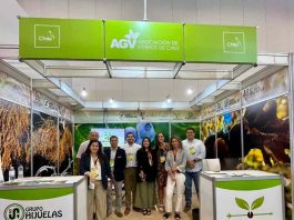 Viveros de Chile fortalece su presencia en Brasil tras participación en Fruit Attraction São Paulo