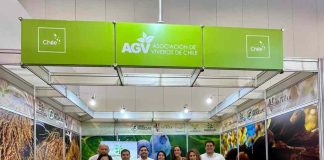 Viveros de Chile fortalece su presencia en Brasil tras participación en Fruit Attraction São Paulo