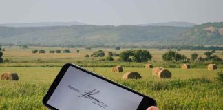 ¿Cómo acceder a una asesoría legal laboral online desde el campo?