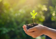 EY anuncia acuerdo para adquirir MB Agro y refuerza su liderazgo en inteligencia estratégica para el agronegocio en Latinoamérica EY anuncia acuerdo para adquirir MB Agro y refuerza su liderazgo en inteligencia estratégica para el agronegocio en Latinoamérica