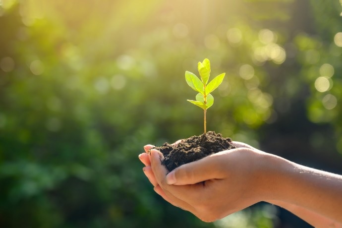 carbono EY anuncia acuerdo para adquirir MB Agro y refuerza su liderazgo en inteligencia estratégica para el agronegocio en Latinoamérica