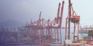 Interborders, aliado estratégico en carga reefer para las exportaciones frutícolas, carga reefer exportaciones frutícolas