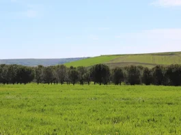 La UE suspende un año los aranceles a algunos fertilizantes para reducir la dependencia de Rusia
