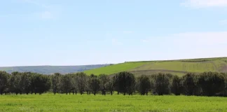 La UE suspende un año los aranceles a algunos fertilizantes para reducir la dependencia de Rusia