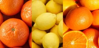 Comité de Cítricos de Frutas de Chile proyecta un crecimiento de 6% en las exportaciones para la temporada 2026 Comité de Cítricos de Frutas de Chile proyecta un crecimiento de 6% en las exportaciones para la temporada 2026