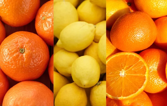 citricos Comité de Cítricos de Frutas de Chile proyecta un crecimiento de 6% en las exportaciones para la temporada 2026