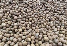 Corfo invita a postular a convocatorias para mejorar la eficiencia hídrica en el sector frutícola en la macrozona centro-sur Corfo invita a postular a convocatorias para mejorar la eficiencia hídrica en el sector frutícola en la macrozona centro-sur