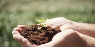 Reportaje | Bioinoculantes "a la carta": La ciencia que protege los cultivos desde la raíz para enfrentar la sequía