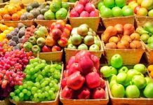 Fruta fresca lidera el crecimiento de las exportaciones chilenas en 2026