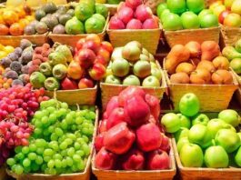 Fruta fresca lidera el crecimiento de las exportaciones chilenas en 2026