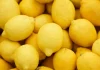 Marruecos: Exportaciones de limones se disparan y apuntan a una temporada récord en 2025/26 Cambiar titulo a :Marruecos: Exportaciones de limones se disparan y apuntan a una temporada récord en 2025/26