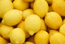 Marruecos: Exportaciones de limones se disparan y apuntan a una temporada récord en 2025/26 Cambiar titulo a :Marruecos: Exportaciones de limones se disparan y apuntan a una temporada récord en 2025/26