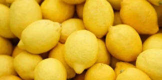 Marruecos: Exportaciones de limones se disparan y apuntan a una temporada récord en 2025/26 Cambiar titulo a :Marruecos: Exportaciones de limones se disparan y apuntan a una temporada récord en 2025/26