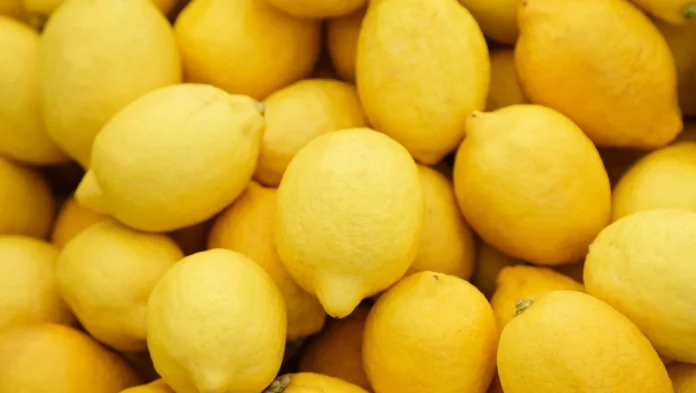 Cambiar titulo a :Marruecos: Exportaciones de limones se disparan y apuntan a una temporada récord en 2025/26
