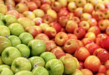 Primera Estimación: Frutas de Chile destaca recambio varietal, mejora de calidad y alza en las exportaciones de manzanas fresca para la temporada 2026