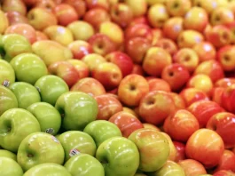 Primera Estimación: Frutas de Chile destaca recambio varietal, mejora de calidad y alza en las exportaciones de manzanas fresca para la temporada 2026