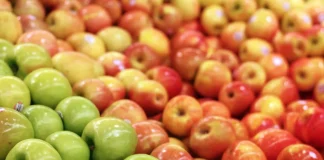 Primera Estimación: Frutas de Chile destaca recambio varietal, mejora de calidad y alza en las exportaciones de manzanas fresca para la temporada 2026