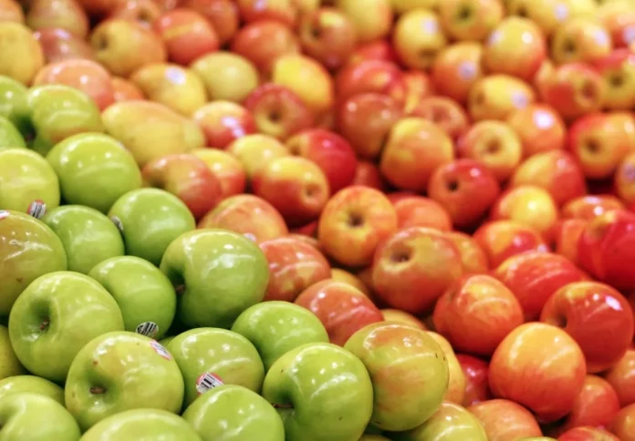 Primera Estimación: Frutas de Chile destaca recambio varietal, mejora de calidad y alza en las exportaciones de manzanas fresca para la temporada 2026