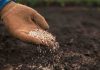 Programa impulsará el uso de tecnologías para enfrentar el cambio climático en la industria semillera