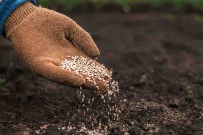 Programa impulsará el uso de tecnologías para enfrentar el cambio climático en la industria semillera