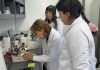 La importancia de entender el hongo que produce pérdidas millonarias en el campo chileno