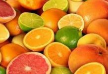 WCO: producción de cítricos del hemisferio sur alcanzaría las 26.409.093 toneladas en 2026