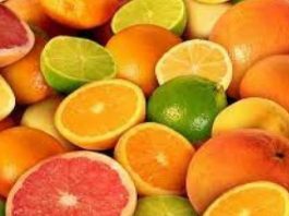 WCO: producción de cítricos del hemisferio sur alcanzaría las 26.409.093 toneladas en 2026