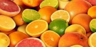 WCO: producción de cítricos del hemisferio sur alcanzaría las 26.409.093 toneladas en 2026