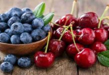 Hortifrut fortalece su negocio de arándanos y berries dejando de lado las cerezas Hortifrut fortalece su negocio de arándanos y berries dejando de lado las cerezas