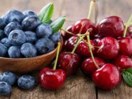 Hortifrut fortalece su negocio de arándanos y berries dejando de lado las cerezas Hortifrut fortalece su negocio de arándanos y berries dejando de lado las cerezas