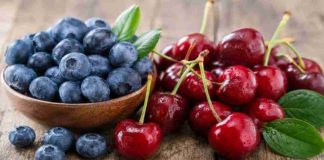 Hortifrut fortalece su negocio de arándanos y berries dejando de lado las cerezas Hortifrut fortalece su negocio de arándanos y berries dejando de lado las cerezas