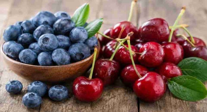 4. Cyber Day Un 28% de los compradores online ha abandonado una compra por desconfianza en el despacho (2) Hortifrut fortalece su negocio de arándanos y berries dejando de lado las cerezas