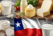 Región de los Ríos aumentó 8.6% recepción de leche en primer trimestre