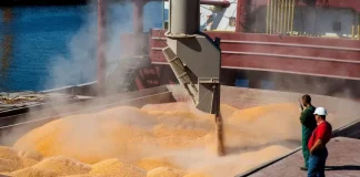EE.UU | Caen los granos y crece la presión sobre el agro: la baja en Chicago enciende alertas en América Latina