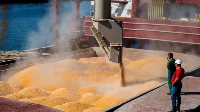 EE.UU | Caen los granos y crece la presión sobre el agro: la baja en Chicago enciende alertas en América Latina