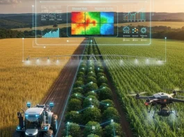 China redefine el futuro del agro con IA y edición genética para producir más alimentos