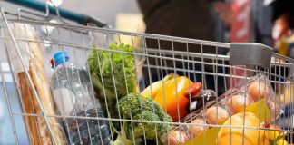 A diez años de la Ley de Etiquetado, Chile ofrece aprendizajes clave para el debate regional sobre información nutricional