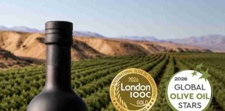 Aceite de oliva chileno obtiene medalla de oro en prestigioso concurso de Londres