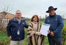 Agricultores de Ñuble tenderán riego tecnificado tras millonaria inversión estatal Agricultores de Ñuble tenderán riego tecnificado tras millonaria inversión estatal
