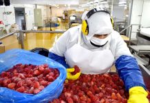 Amenaza de arancel en EE. UU. pone en riesgo el dinamismo de la agroindustria chilena Amenaza de arancel en EE. UU. pone en riesgo el dinamismo de la agroindustria chilena