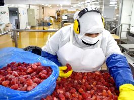 Amenaza de arancel en EE. UU. pone en riesgo el dinamismo de la agroindustria chilena Amenaza de arancel en EE. UU. pone en riesgo el dinamismo de la agroindustria chilena